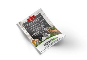 Aktionsflyer Design Flyer