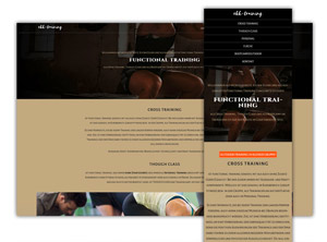 Webdesign responsive inkl Texte, html/css